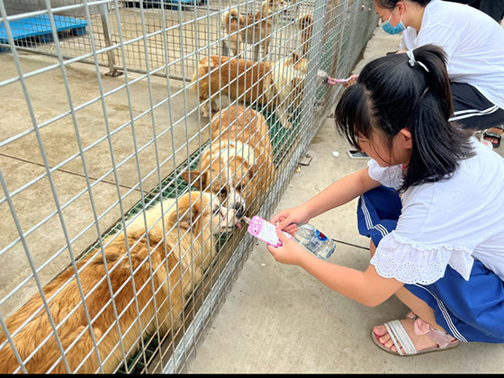 MGM������÷(Macau)�ɷ����޹�˾-Official website